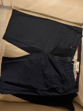 Alcott Men's Navy Blue Pants